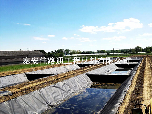 破“膜”重圓：養殖防滲膜破損修復實戰技巧